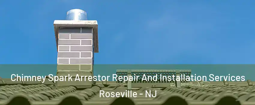 Chimney Spark Arrestor Repair And Installation Services Roseville - NJ
