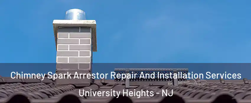 Chimney Spark Arrestor Repair And Installation Services University Heights - NJ