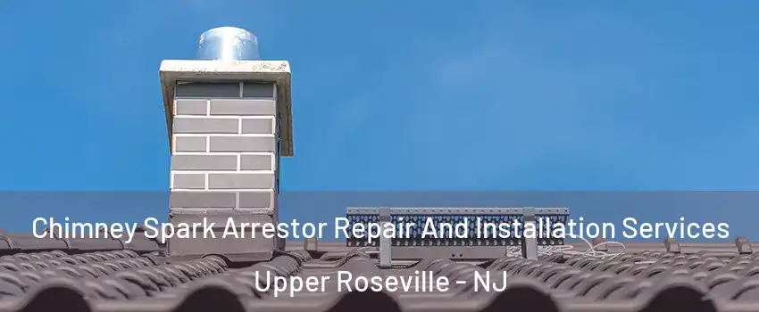 Chimney Spark Arrestor Repair And Installation Services Upper Roseville - NJ