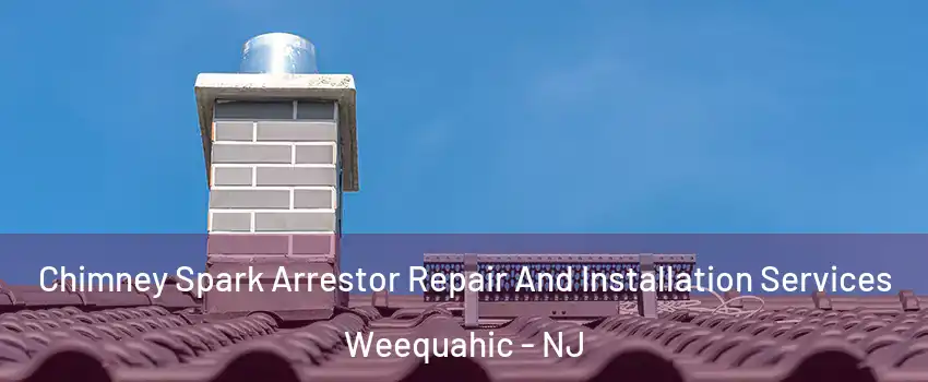 Chimney Spark Arrestor Repair And Installation Services Weequahic - NJ