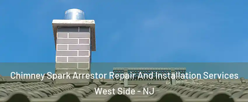 Chimney Spark Arrestor Repair And Installation Services West Side - NJ