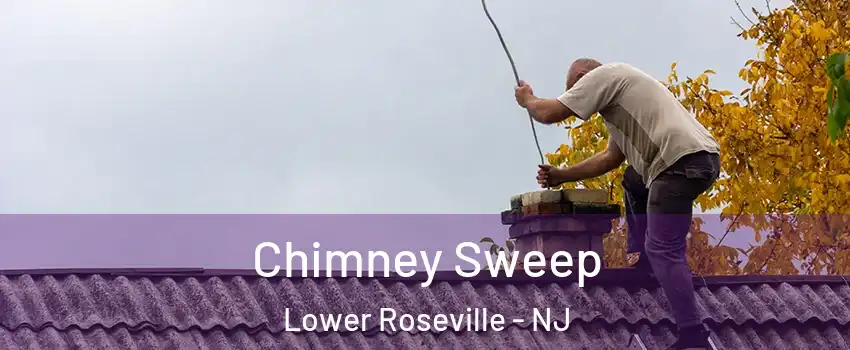 Chimney Sweep Lower Roseville - NJ