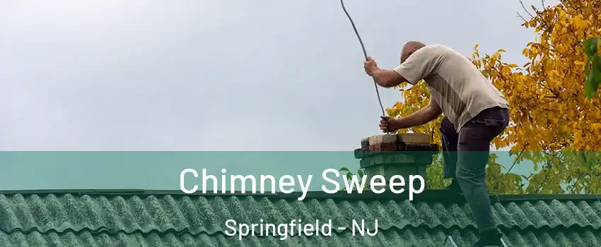 Chimney Sweep Springfield - NJ