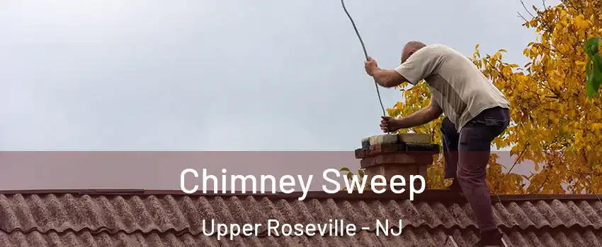 Chimney Sweep Upper Roseville - NJ