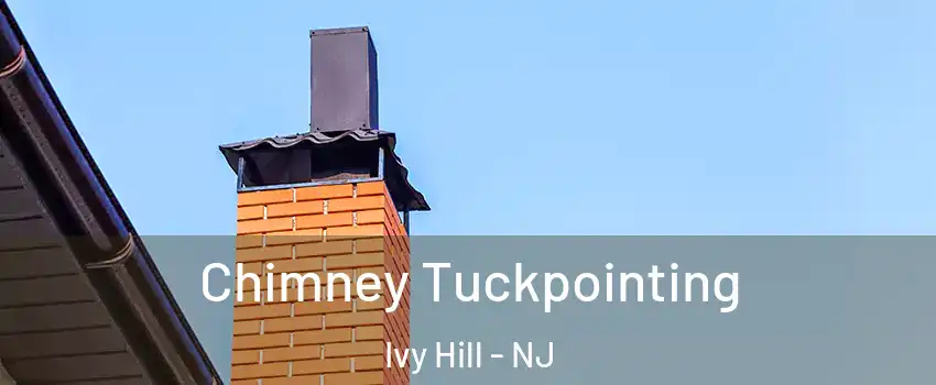 Chimney Tuckpointing Ivy Hill - NJ