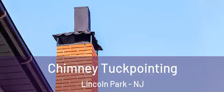Chimney Tuckpointing Lincoln Park - NJ