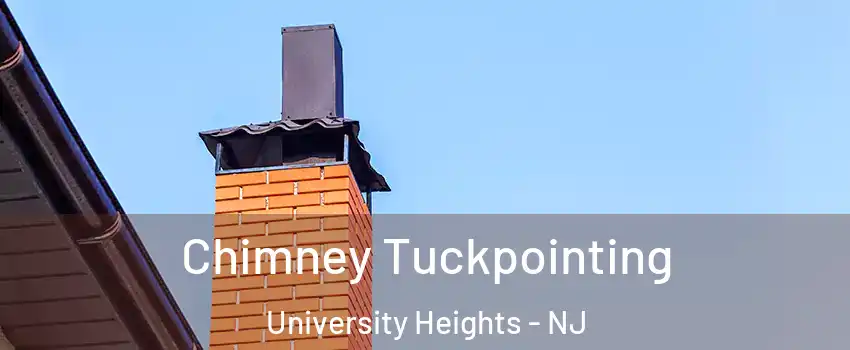 Chimney Tuckpointing University Heights - NJ