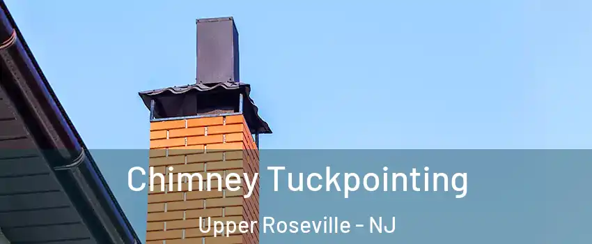 Chimney Tuckpointing Upper Roseville - NJ