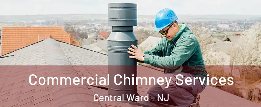 Commercial Chimney Services Central Ward - NJ