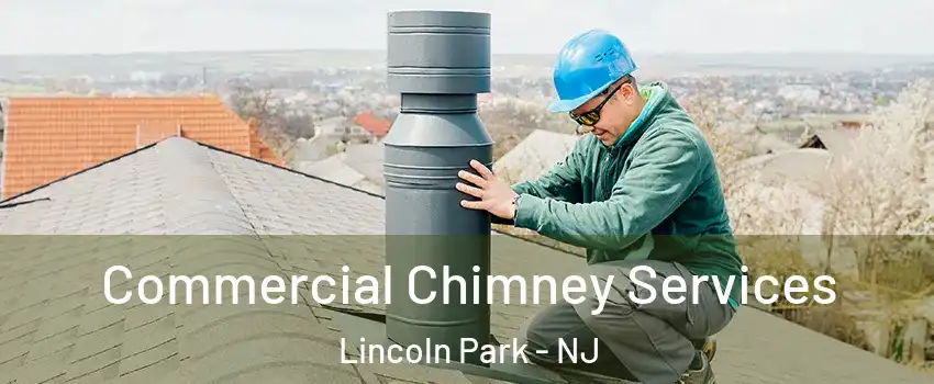 Commercial Chimney Services Lincoln Park - NJ