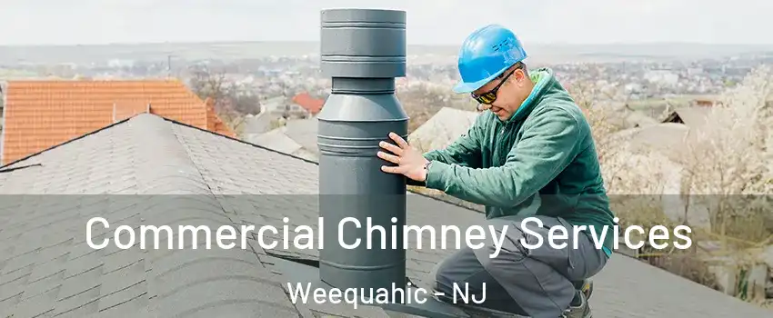 Commercial Chimney Services Weequahic - NJ