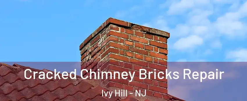 Cracked Chimney Bricks Repair Ivy Hill - NJ