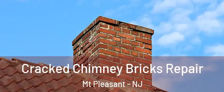 Cracked Chimney Bricks Repair Mt Pleasant - NJ
