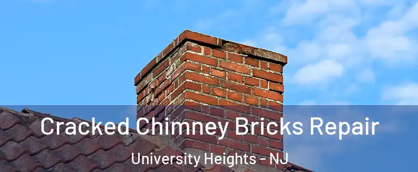 Cracked Chimney Bricks Repair University Heights - NJ