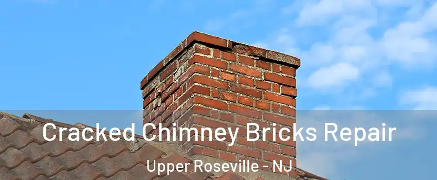 Cracked Chimney Bricks Repair Upper Roseville - NJ