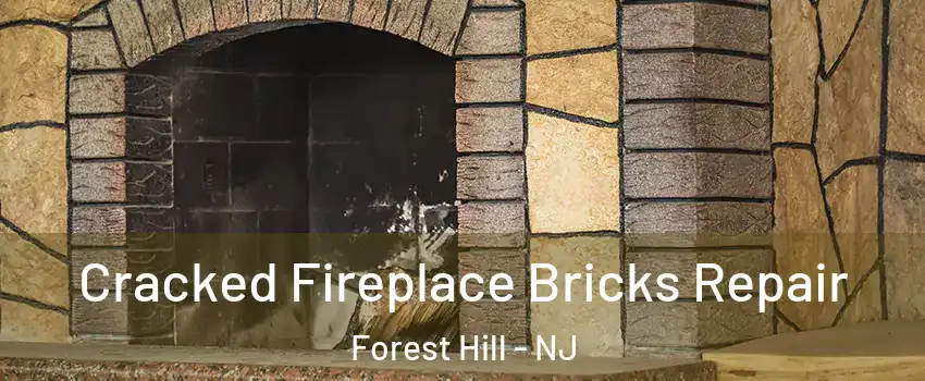 Cracked Fireplace Bricks Repair Forest Hill - NJ