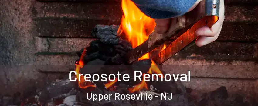 Creosote Removal Upper Roseville - NJ