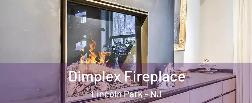Dimplex Fireplace Lincoln Park - NJ