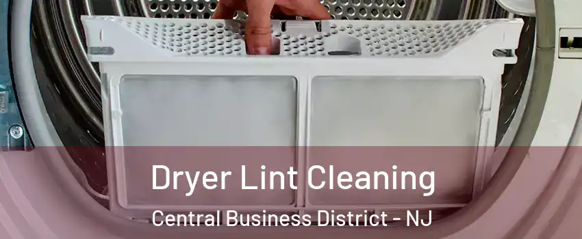 Dryer Lint Cleaning Central Business District - NJ