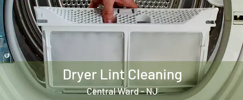 Dryer Lint Cleaning Central Ward - NJ