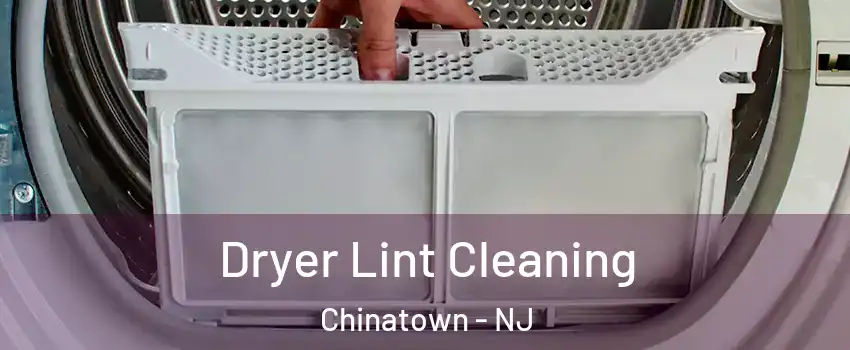 Dryer Lint Cleaning Chinatown - NJ