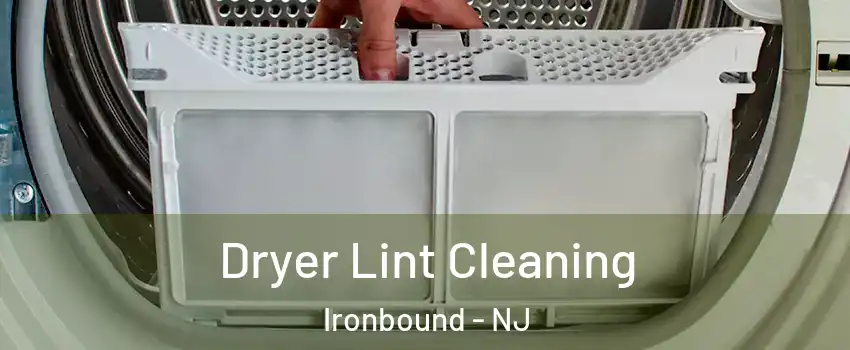 Dryer Lint Cleaning Ironbound - NJ