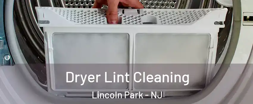 Dryer Lint Cleaning Lincoln Park - NJ