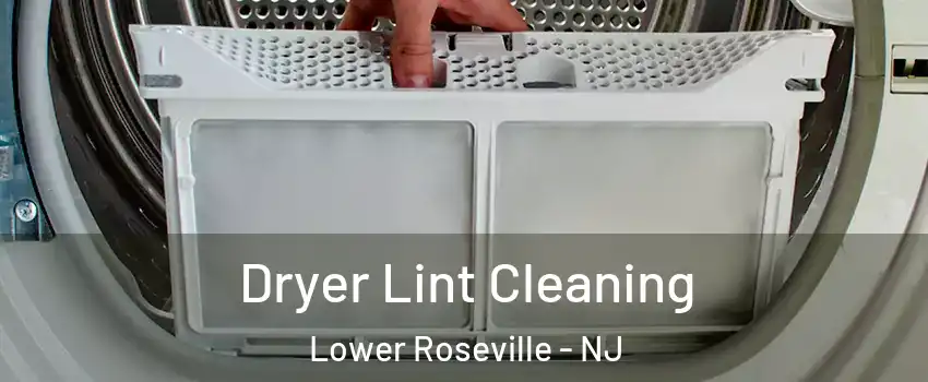 Dryer Lint Cleaning Lower Roseville - NJ
