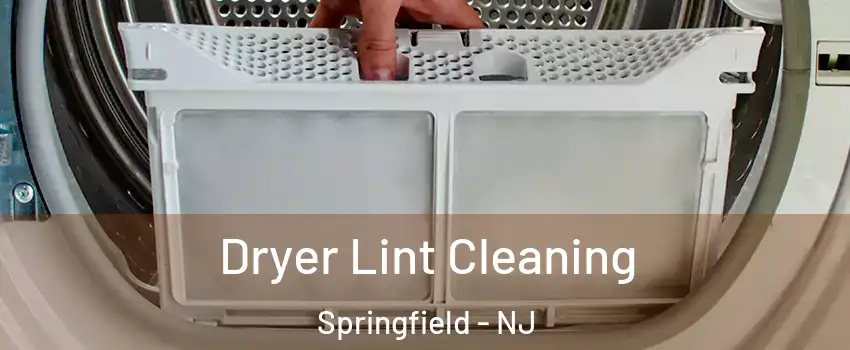 Dryer Lint Cleaning Springfield - NJ
