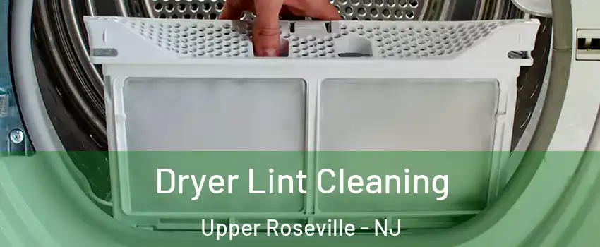 Dryer Lint Cleaning Upper Roseville - NJ