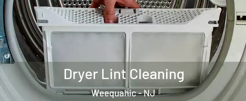 Dryer Lint Cleaning Weequahic - NJ