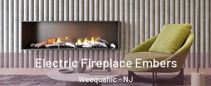 Electric Fireplace Embers Weequahic - NJ