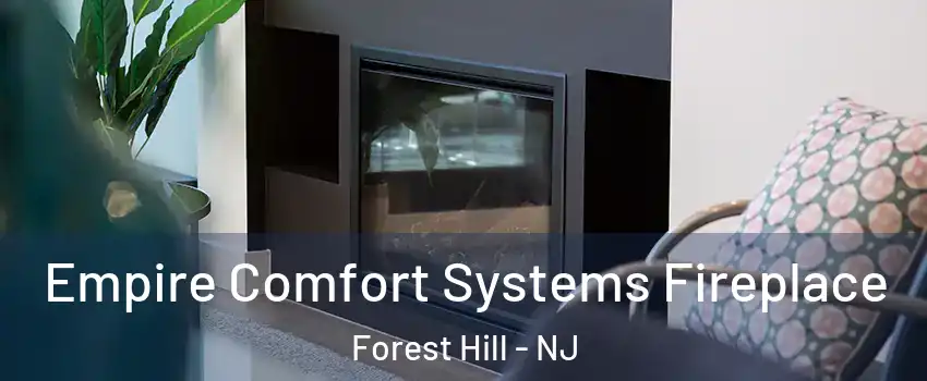 Empire Comfort Systems Fireplace Forest Hill - NJ