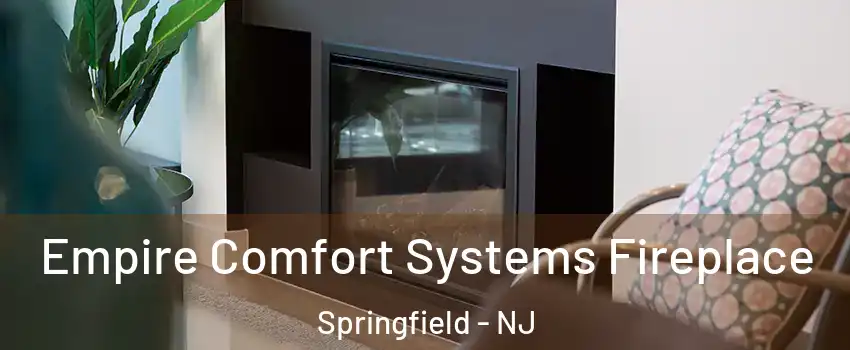 Empire Comfort Systems Fireplace Springfield - NJ
