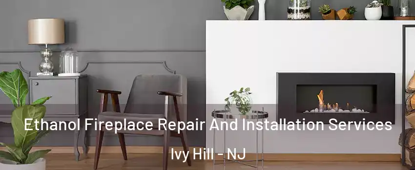 Ethanol Fireplace Repair And Installation Services Ivy Hill - NJ