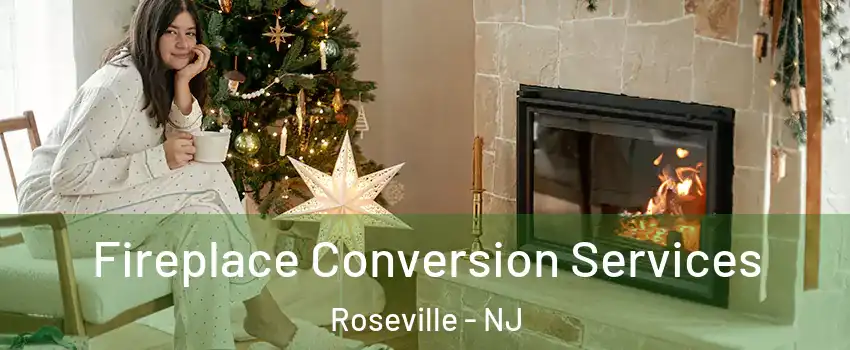 Fireplace Conversion Services Roseville - NJ
