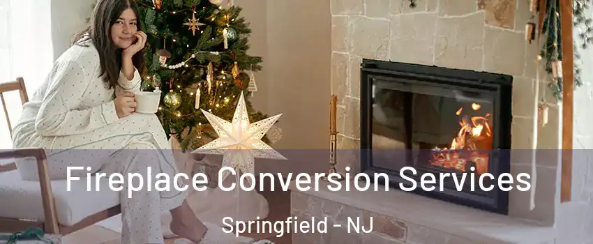 Fireplace Conversion Services Springfield - NJ