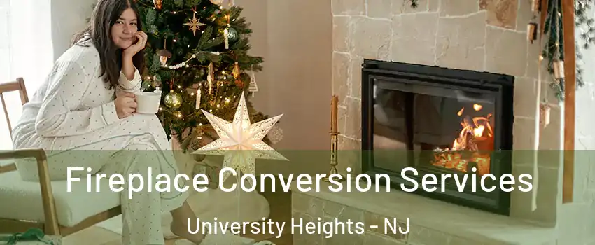 Fireplace Conversion Services University Heights - NJ