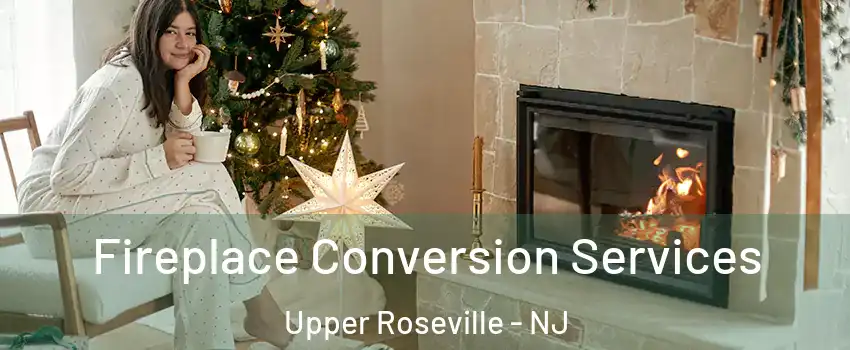 Fireplace Conversion Services Upper Roseville - NJ