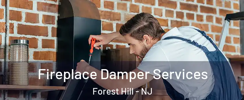 Fireplace Damper Services Forest Hill - NJ