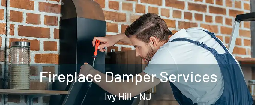 Fireplace Damper Services Ivy Hill - NJ