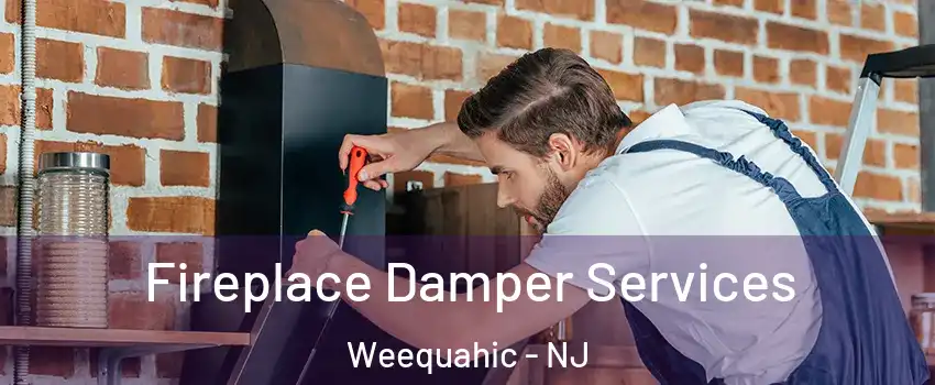Fireplace Damper Services Weequahic - NJ
