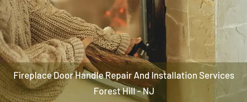 Fireplace Door Handle Repair And Installation Services Forest Hill - NJ