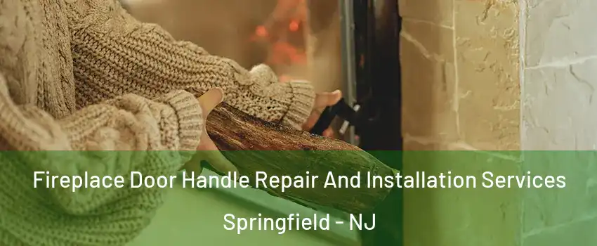 Fireplace Door Handle Repair And Installation Services Springfield - NJ