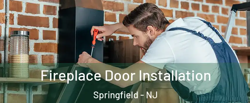 Fireplace Door Installation Springfield - NJ