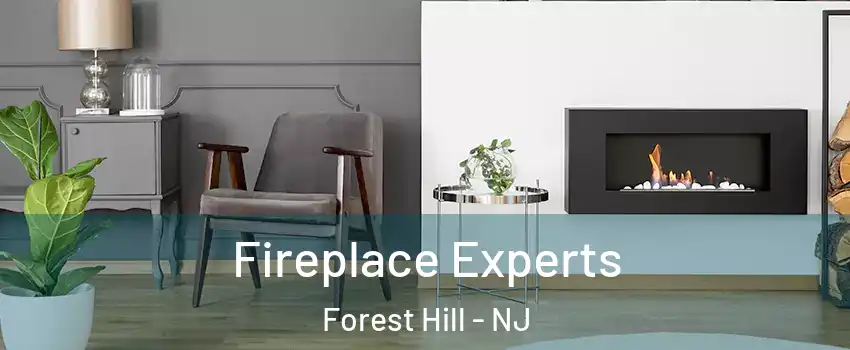 Fireplace Experts Forest Hill - NJ