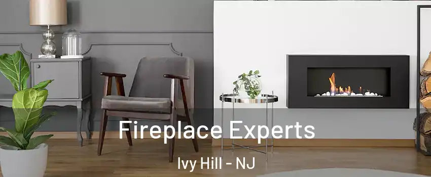Fireplace Experts Ivy Hill - NJ