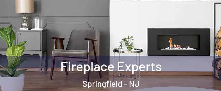 Fireplace Experts Springfield - NJ