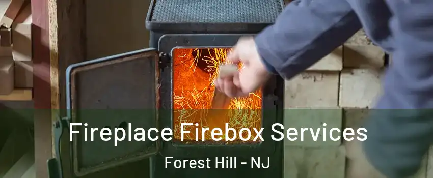 Fireplace Firebox Services Forest Hill - NJ