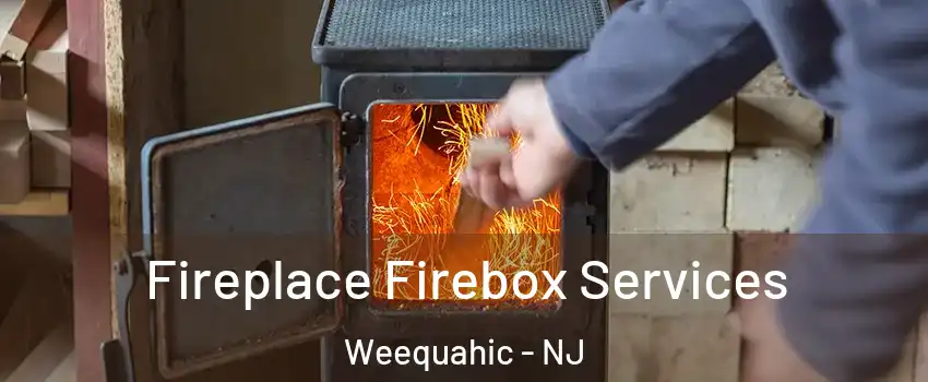 Fireplace Firebox Services Weequahic - NJ